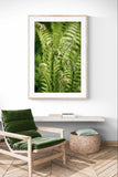 Modern Fine Art Photograph - Morning Fern #8