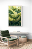 Modern Fine Art Photograph - Morning Hosta #5