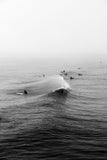 Modern Fine Art Photograph - One Wave #1