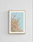 Modern Botanical Photograph - Pink Daydreams #1
