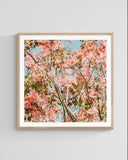 Modern Floral Photograph - Pink Daydreams #2