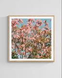 Modern Floral Photograph - Pink Daydreams #4
