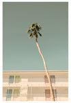 Modern Fine Art Photograph - PS I Love You