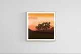 Modern Fine Art Photograph - Reset #2