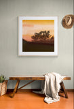 Modern Fine Art Photograph - Reset #2