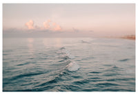 Fine Art Photograph - Softly