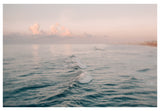 Fine Art Photograph - Softly
