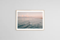 Fine Art Photograph - Softly