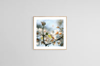 Modern Floral Photograph - Spring Blush #1