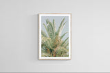 Modern Fine Art Photograph - Spring Mint #1