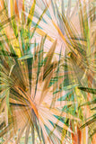 Modern Fine Art Abstract Photograph - Summer Crush