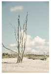 Modern Fine Art Photograph - The Lost Island #1