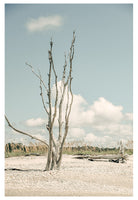 Modern Fine Art Photograph - The Lost Island #1