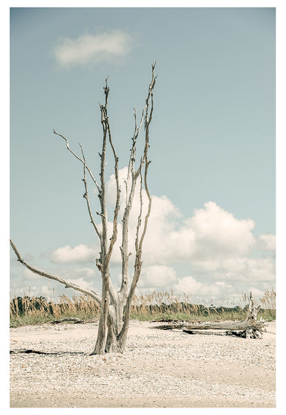 Modern Fine Art Photograph - The Lost Island #1