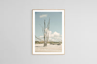 Modern Fine Art Photograph - The Lost Island #1