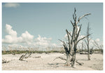 Modern Fine Art Photograph - The Lost Island #2