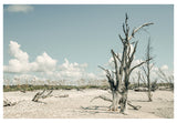 Modern Fine Art Photograph - The Lost Island #2