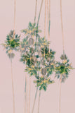 Modern Fine Art Abstract Photograph - The Return