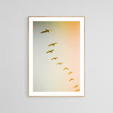 Updraft #2 - Fine Art Photograph