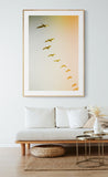 Updraft #2 - Fine Art Photograph