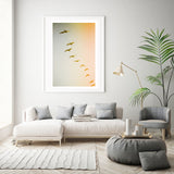 Updraft #2 - Fine Art Photograph