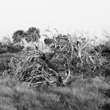 Modern Fine Art Photograph - What Remains #2