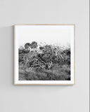 Modern Fine Art Photograph - What Remains #2