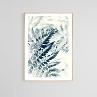 Modern Nature Photograph - Blue Fern #1