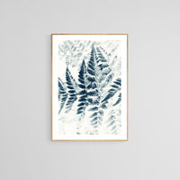 Modern Nature Photograph - Blue Fern #2