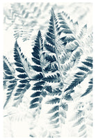 Modern Nature Photograph - Blue Fern #2