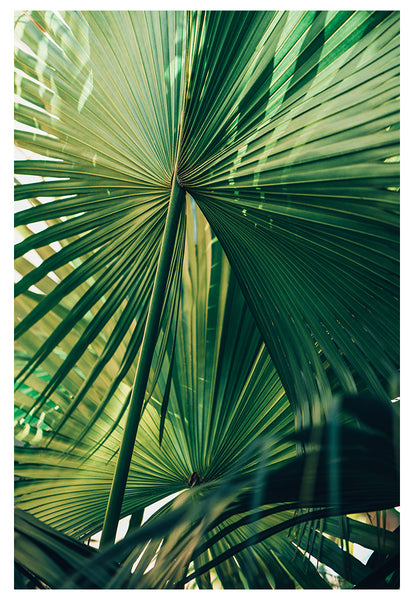Modern Tropical Photograph - Everything Was Green #2