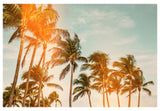 Miami Breeze (Flare) - Fine Art Photograph