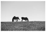 Modern Fine Art Photograph - Standing In The Sun #2