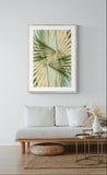Modern Fine Art Abstract Photograph - Long Afternoon