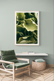Modern Fine Art Photograph - Morning Hosta #3