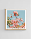 Modern Floral Photograph - Pink Daydreams #3