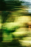 Modern Fine Art Abstract Photograph - 5th Street Palms #1