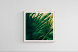 Modern Fine Art Photograph - 5th Street Palms #3