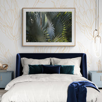 Modern Tropical Photograph - Bismarck Sun #1
