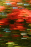 Modern Fine Art Abstract Photograph - Bougainvillea Breeze #1