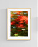 Modern Fine Art Abstract Photograph - Bougainvillea Breeze #1