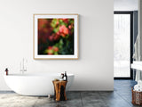 Modern Fine Art Photograph - Bougainvillea Breeze #3