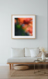 Modern Fine Art Photograph - Bougainvillea Breeze #5