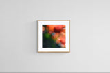 Modern Fine Art Photograph - Bougainvillea Breeze #5