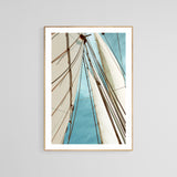 Modern Fine Art Photograph - Catch The Wind