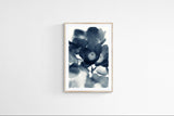 Modern Fine Art Print - Cyan Anemone #3