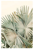 Modern Tropical Fine Art Photograph - Closer