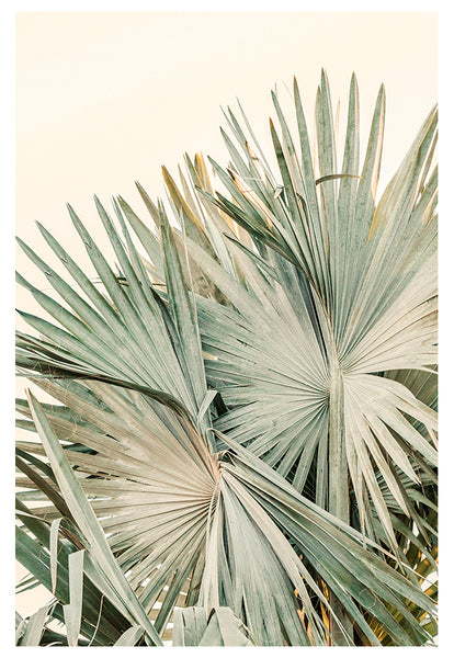 Modern Tropical Fine Art Photograph - Closer