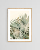 Modern Tropical Fine Art Photograph - Closer