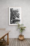 Modern Fine Art Photograph - Dune Study #2